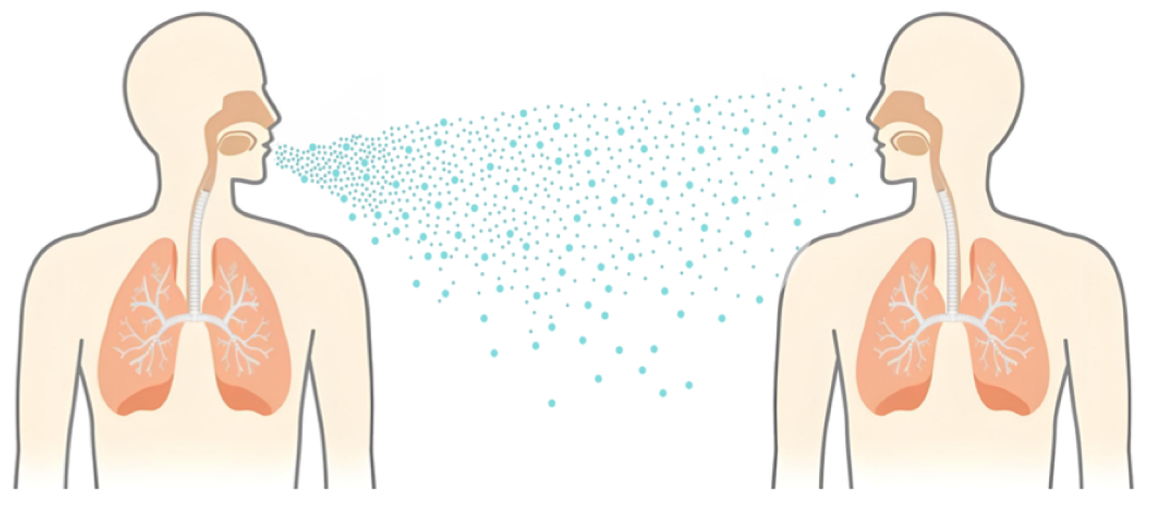 Electronics 14 00213 g001