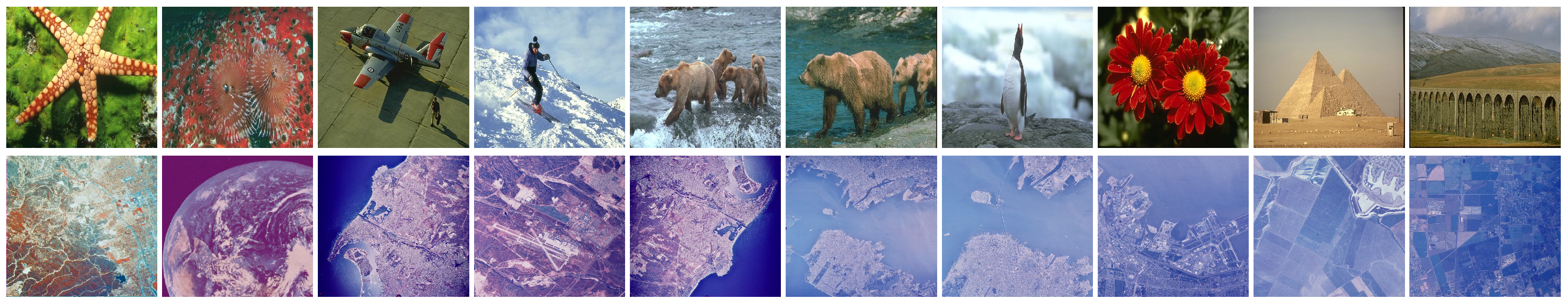 Electronics 14 00238 g004