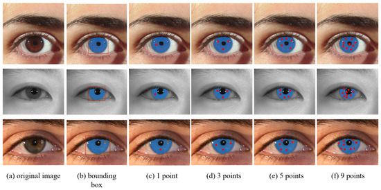 SAM-Iris: A SAM-Based Iris Segmentation Algorithm