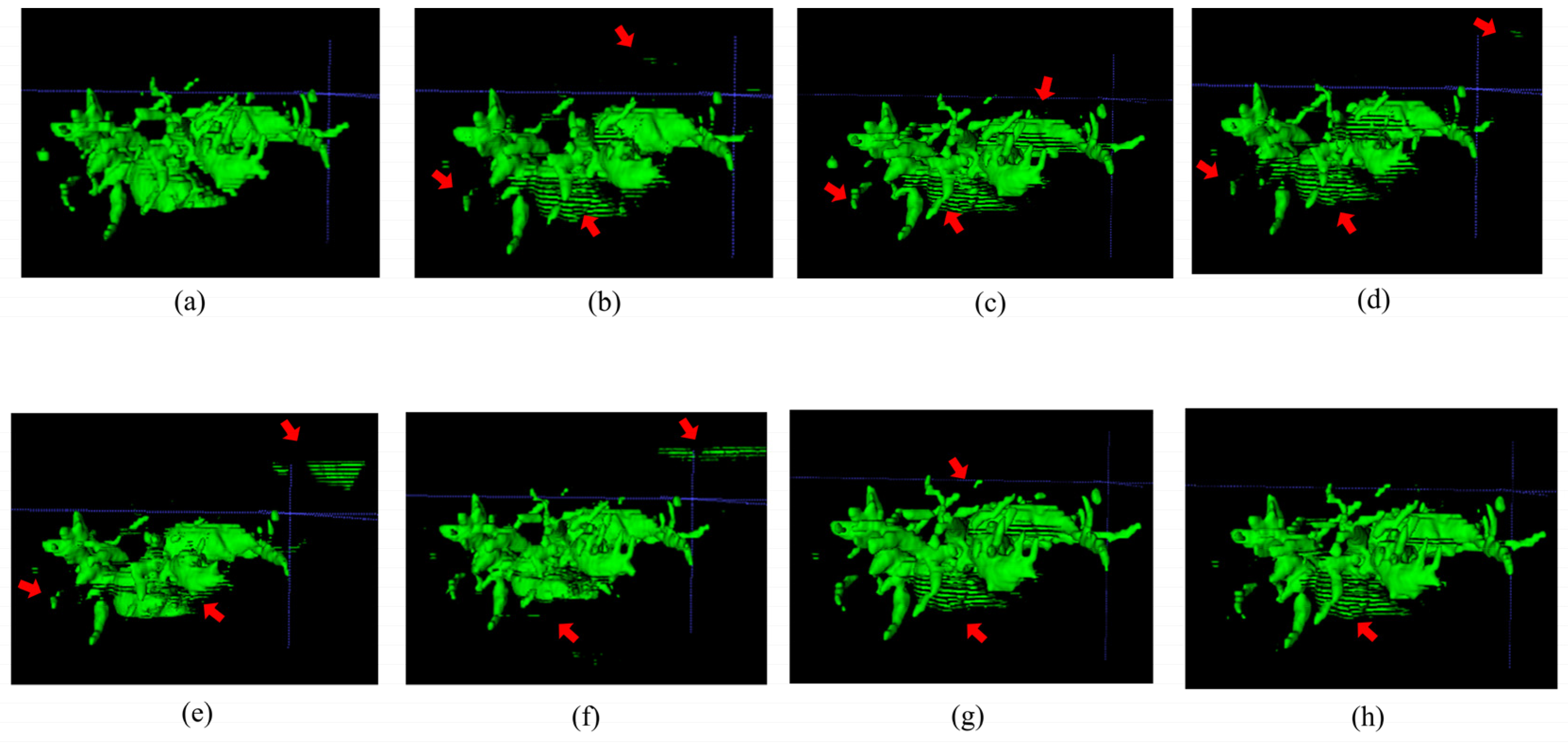Electronics 14 00321 g004