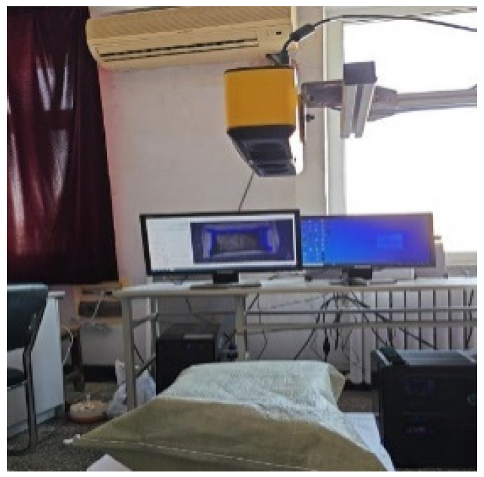 Electronics 14 00352 g001