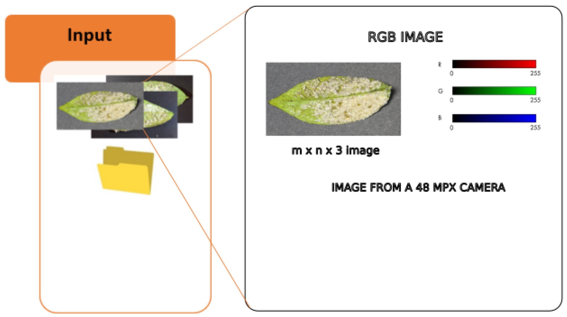 Electronics 14 00358 g002