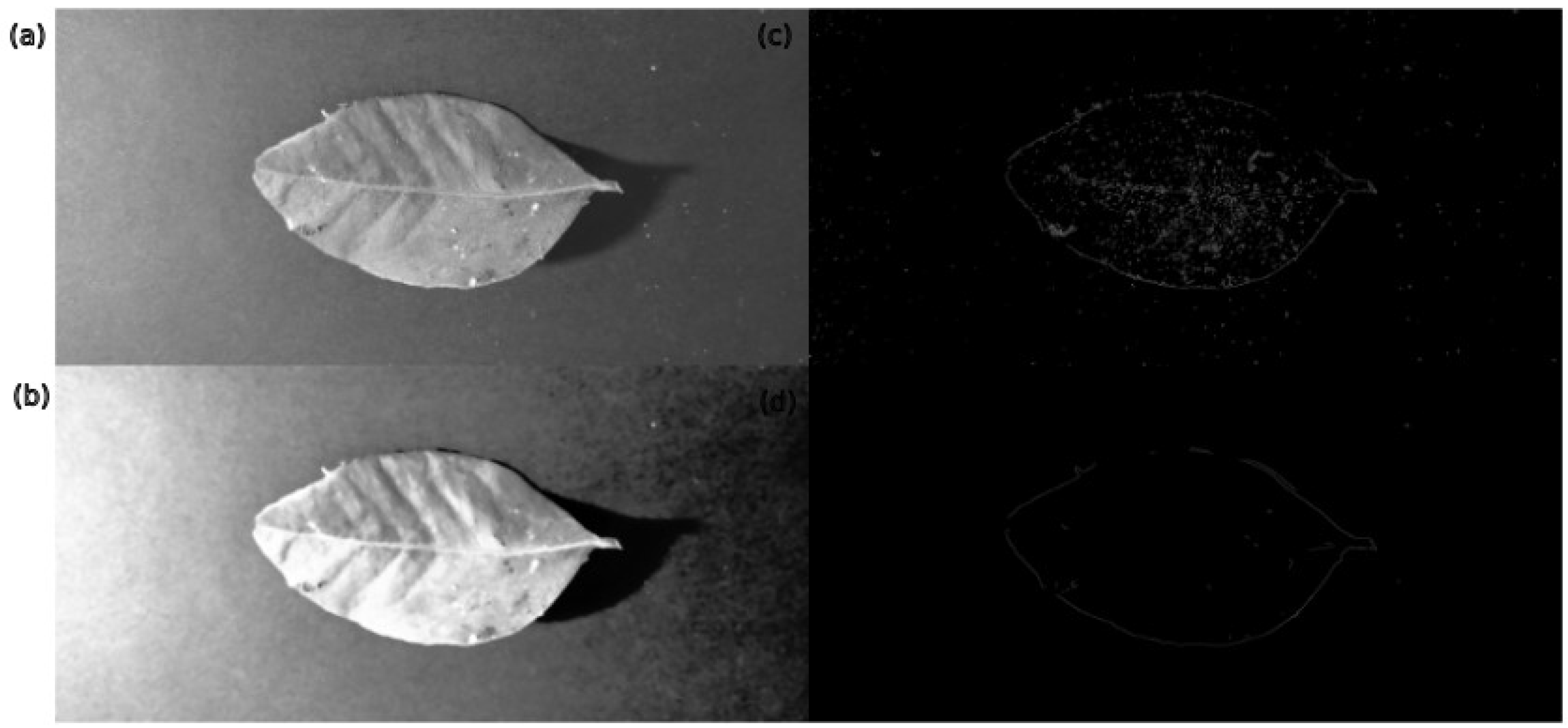 Electronics 14 00358 g008