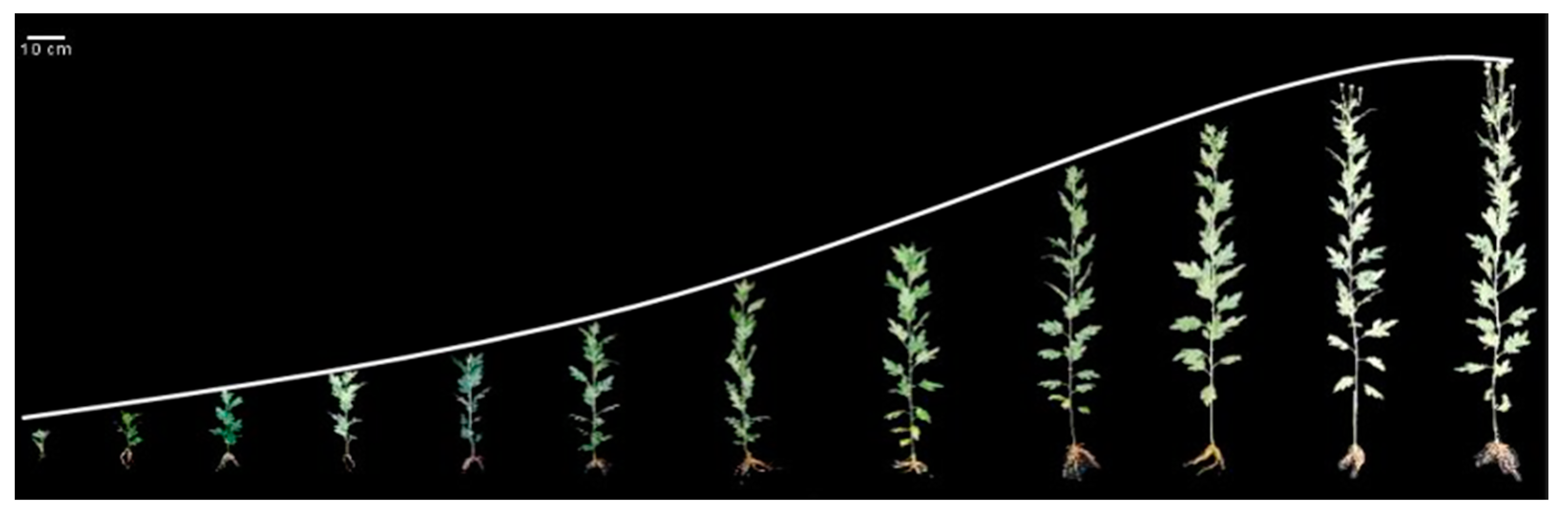 Electronics 14 00370 g016 Electronics 14 00370 g016