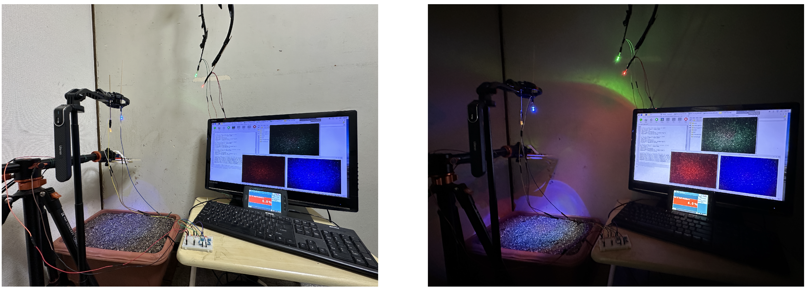 Electronics 14 00395 g002