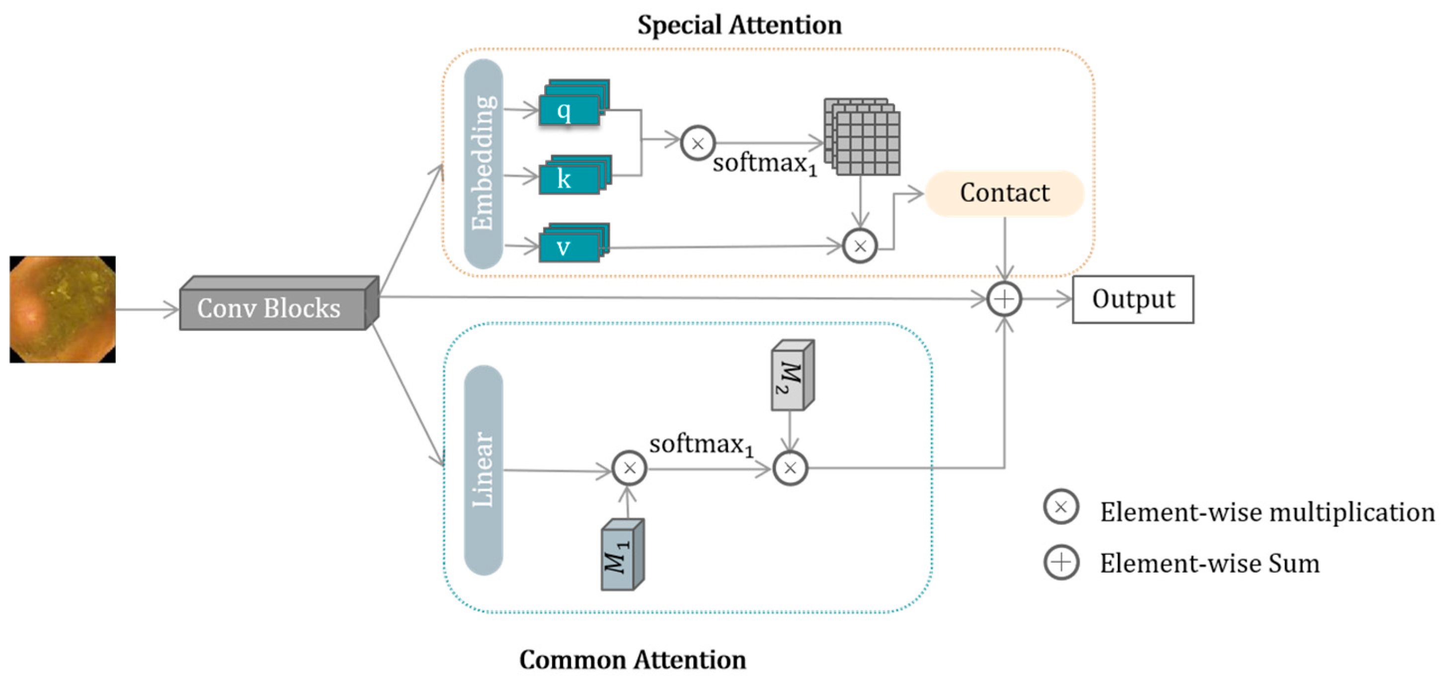 Electronics 14 00428 g002