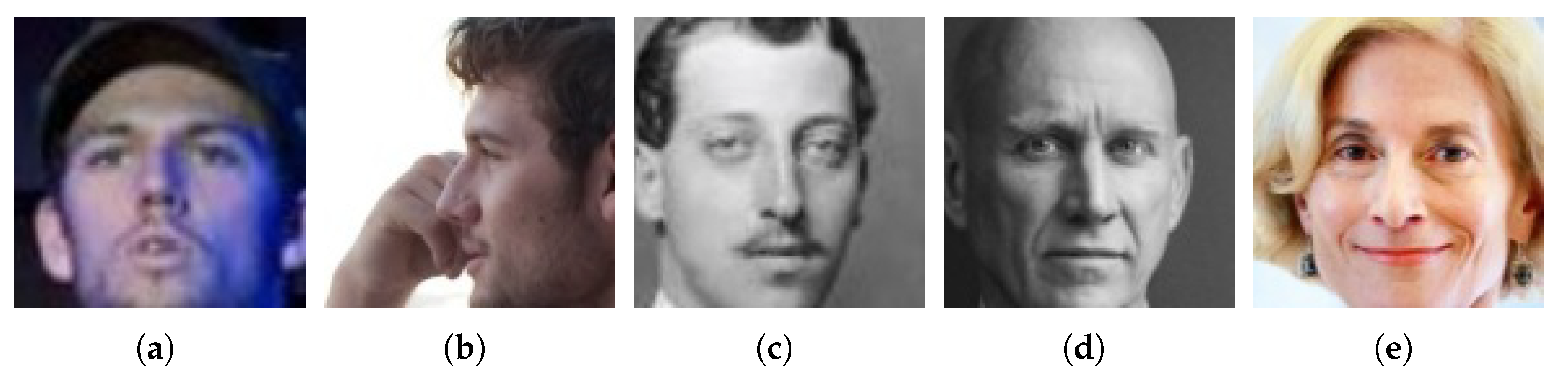 Electronics 14 00455 g0a1