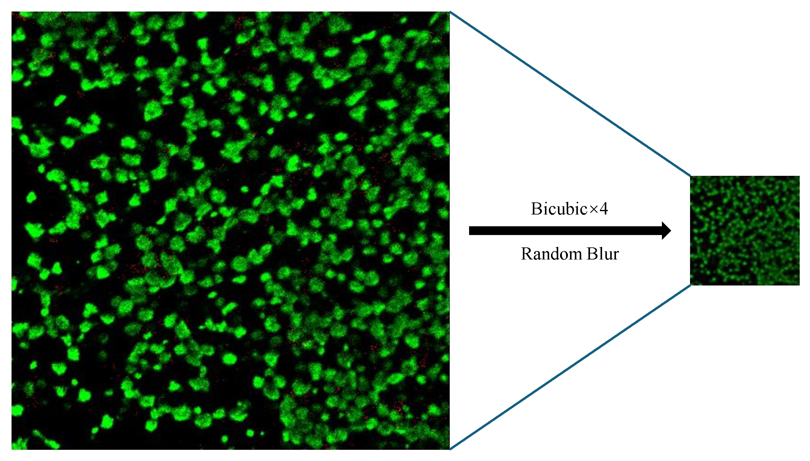 Electronics 14 00479 g003