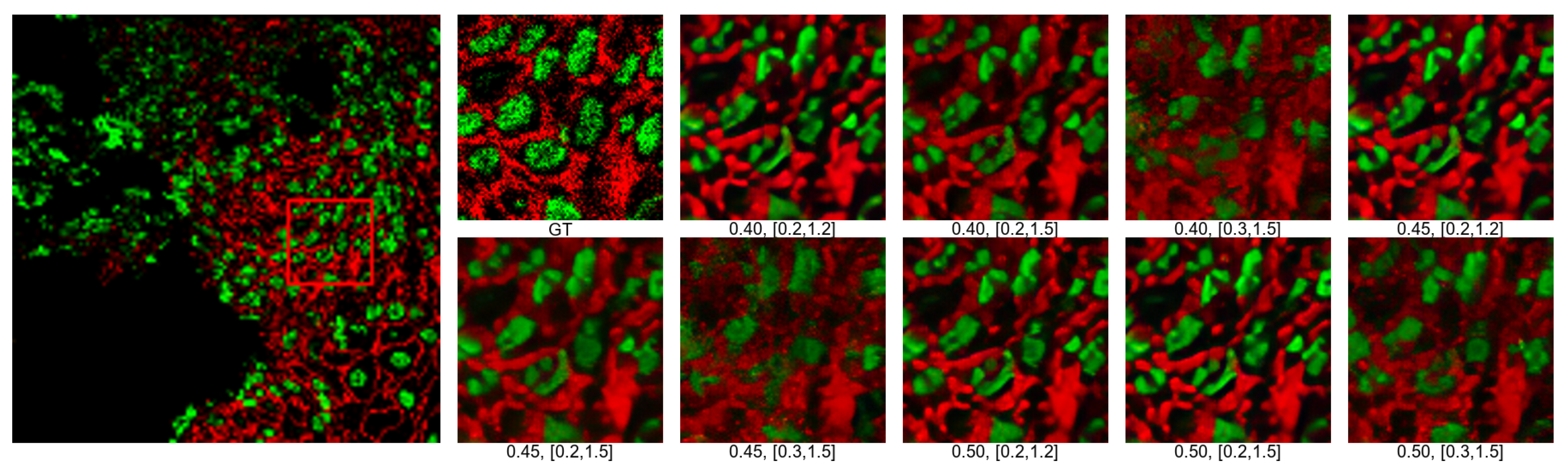Electronics 14 00479 g004