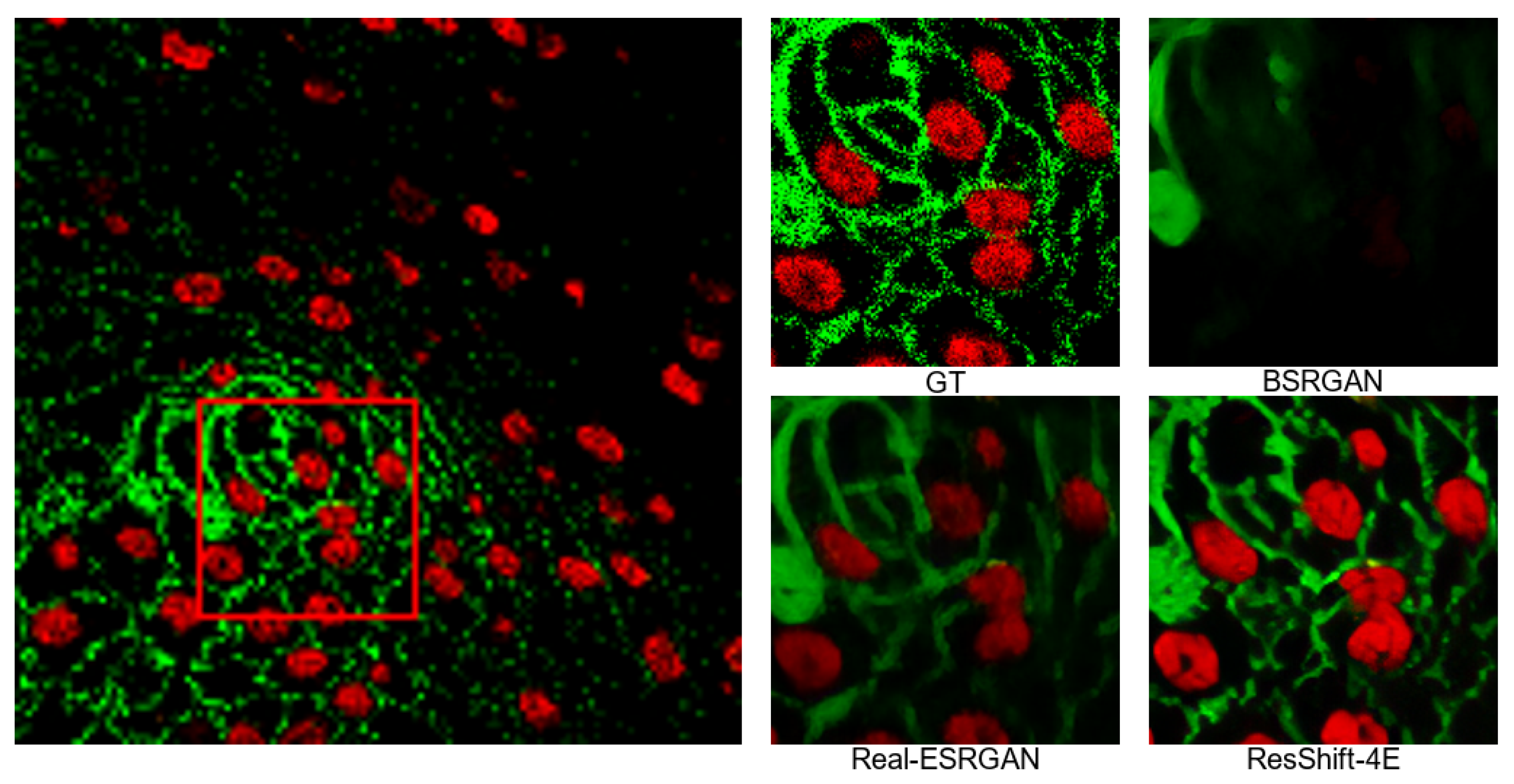 Electronics 14 00479 g006