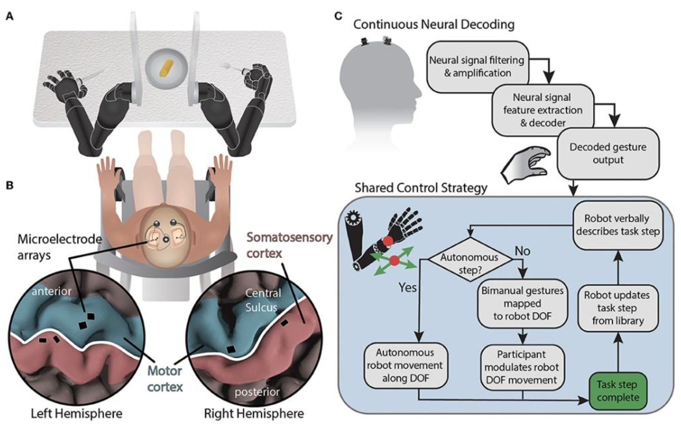 Electronics 14 00491 g003 Electronics 14 00491 g003