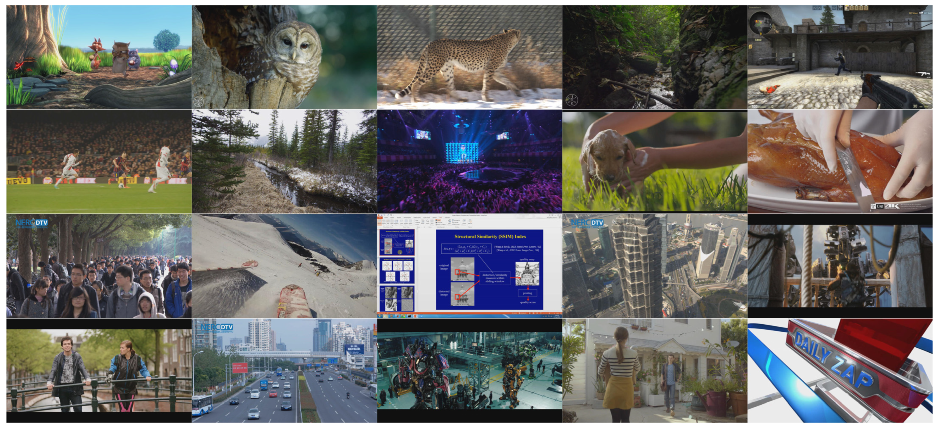 Electronics 14 00497 g003