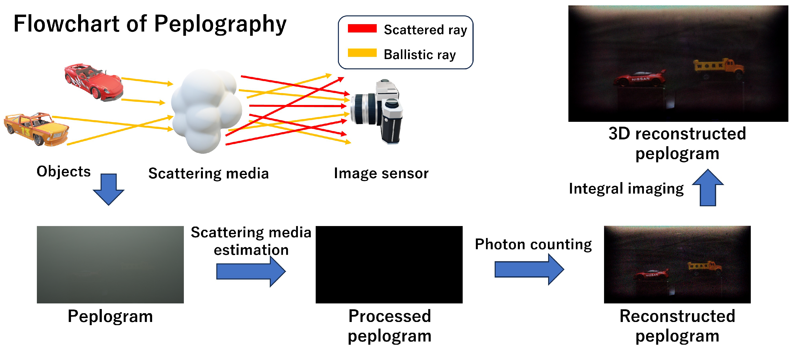 Electronics 14 00545 g001