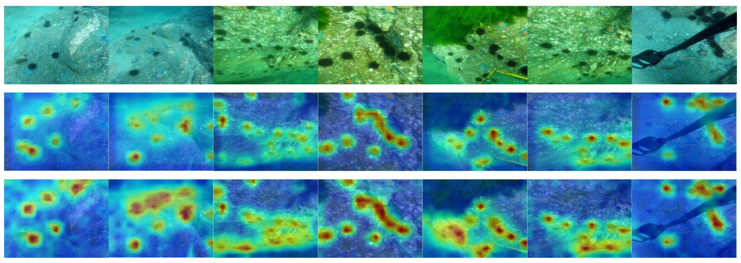 Electronics 14 00587 g005