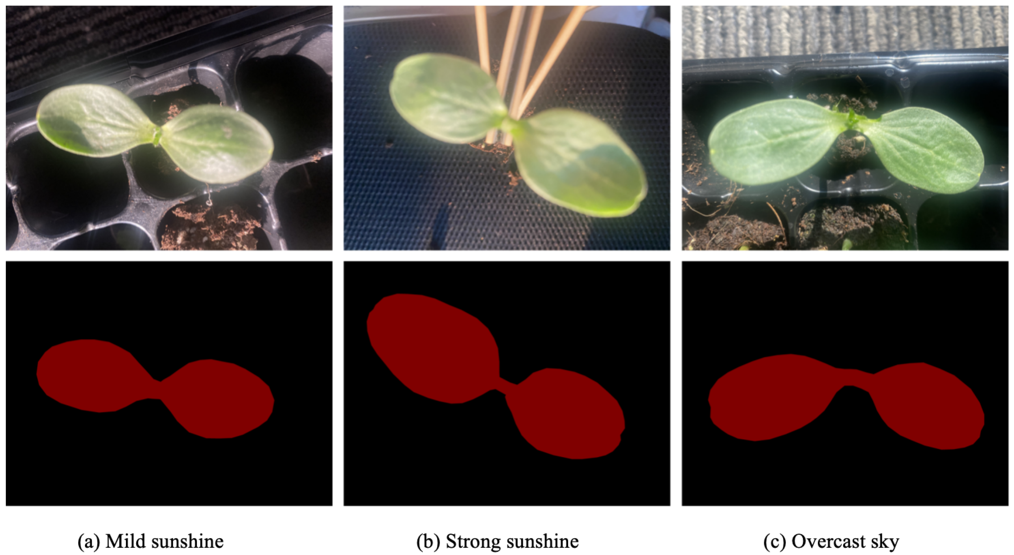 Electronics 14 00620 g003