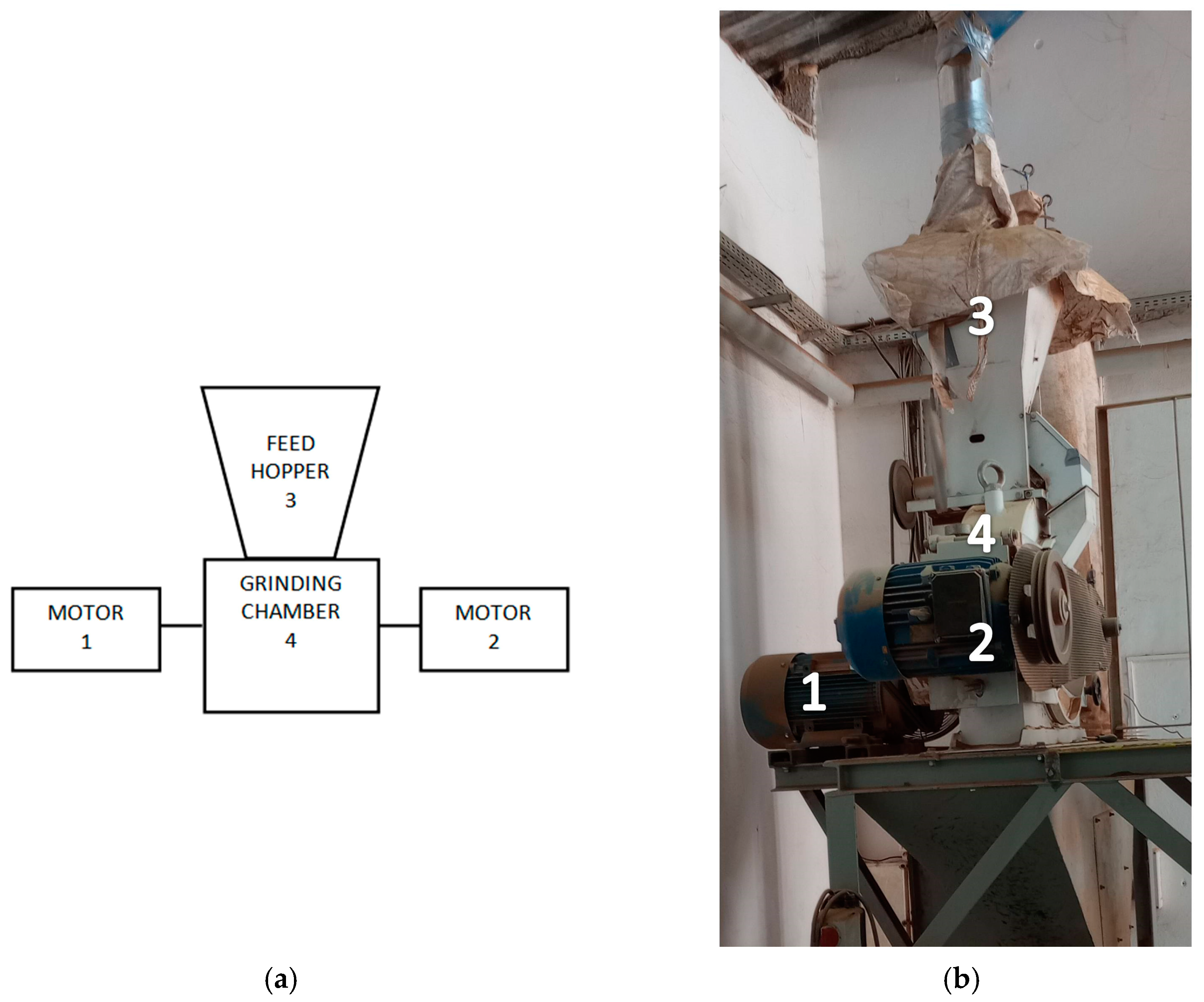 Electronics 14 00655 g001