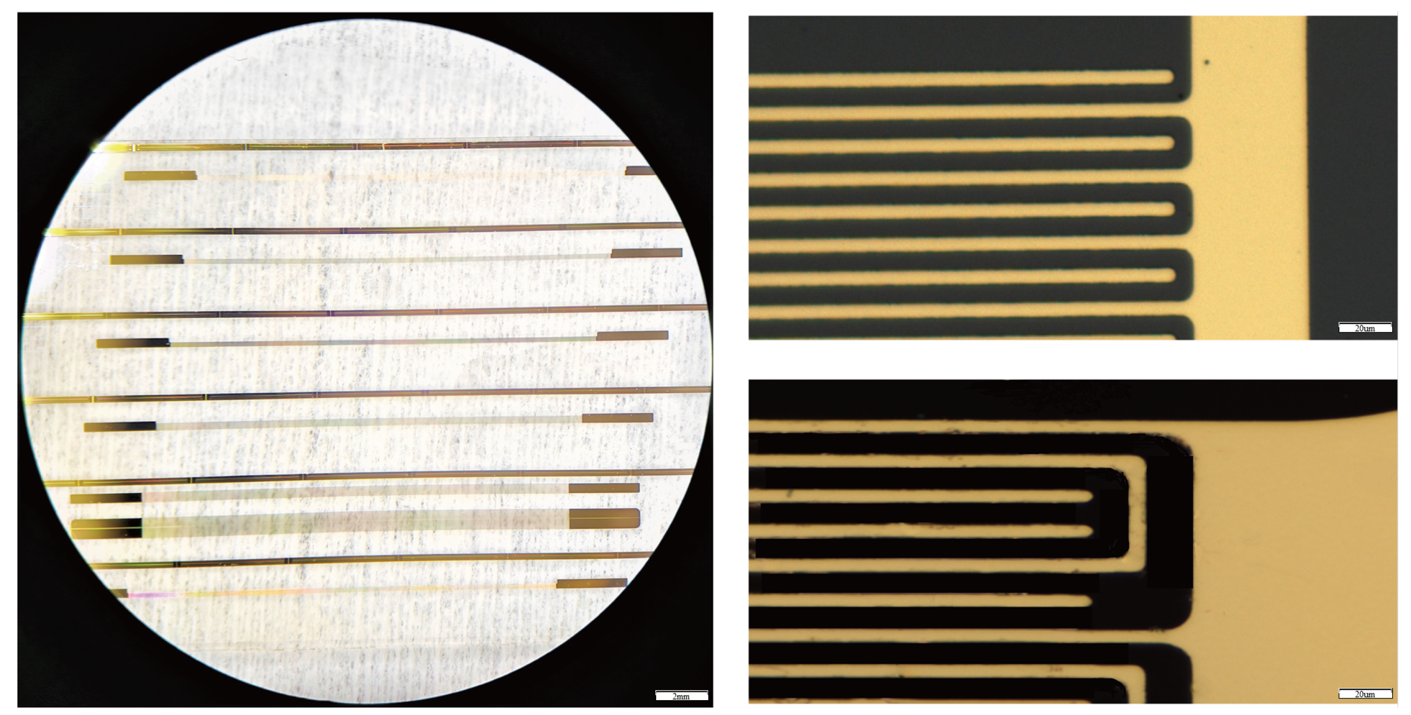 Electronics 14 00658 g005