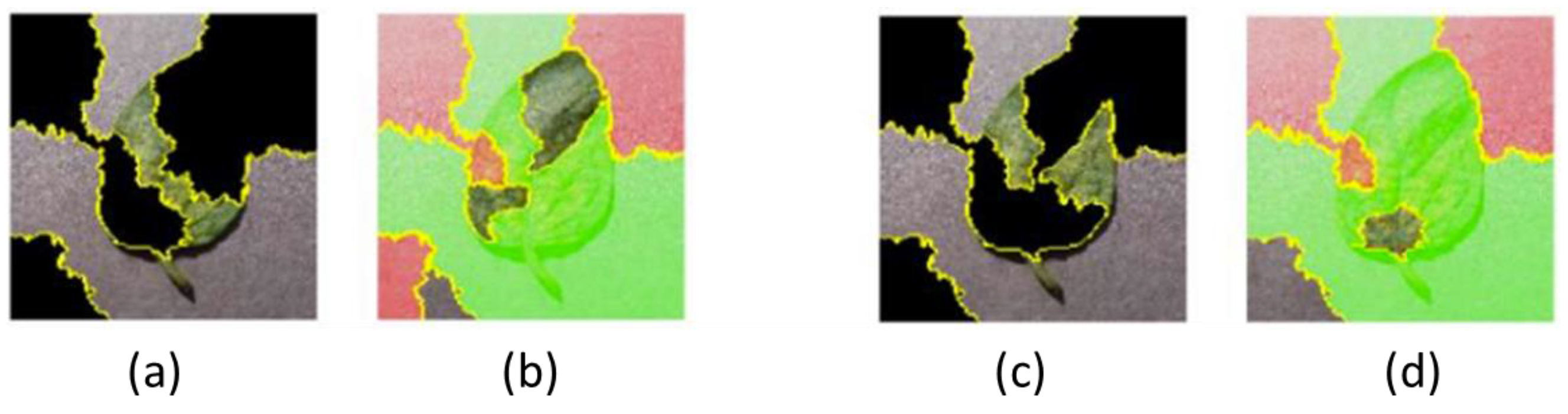 Electronics 14 00661 g005