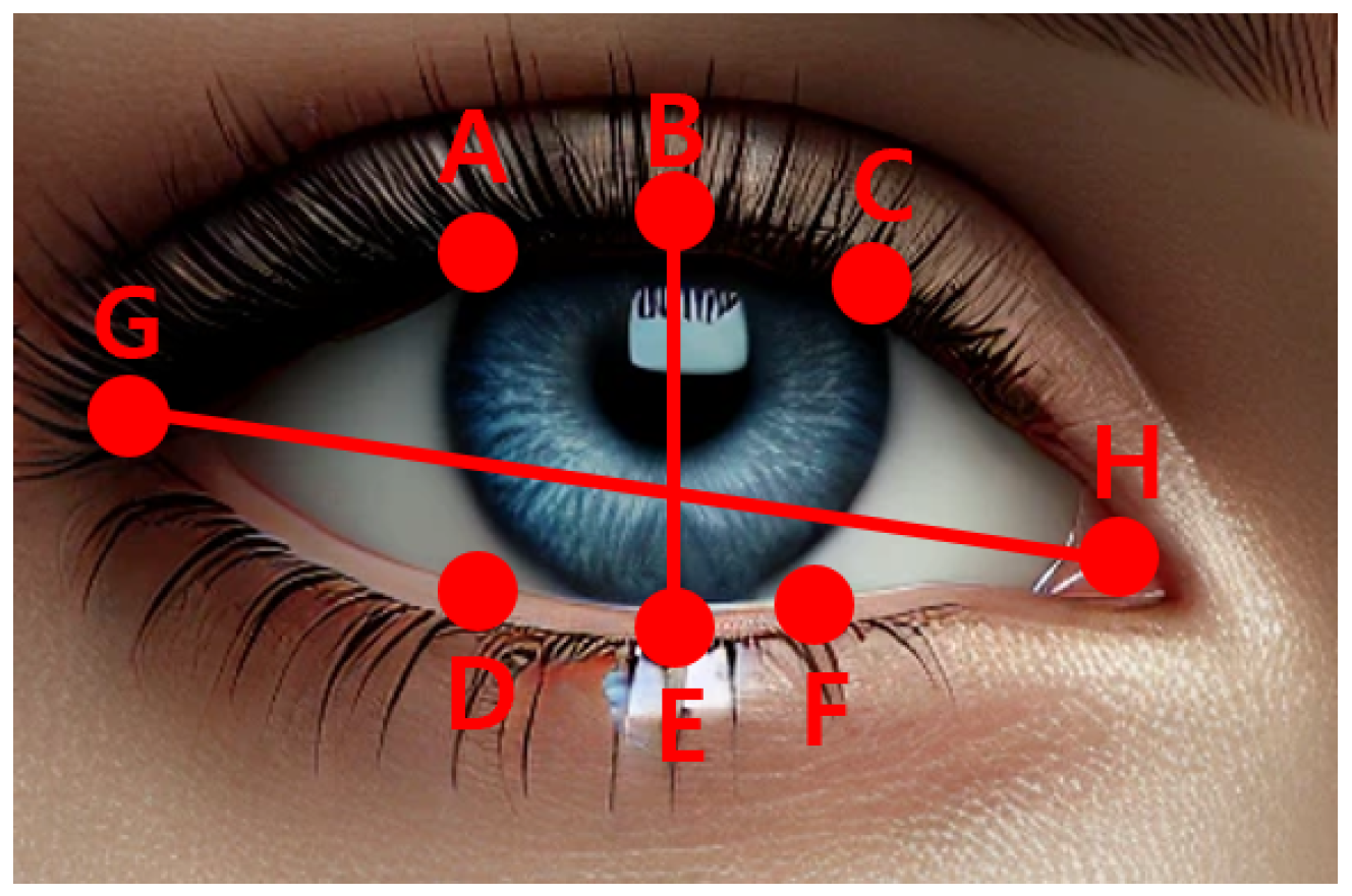 Electronics 14 00662 g004
