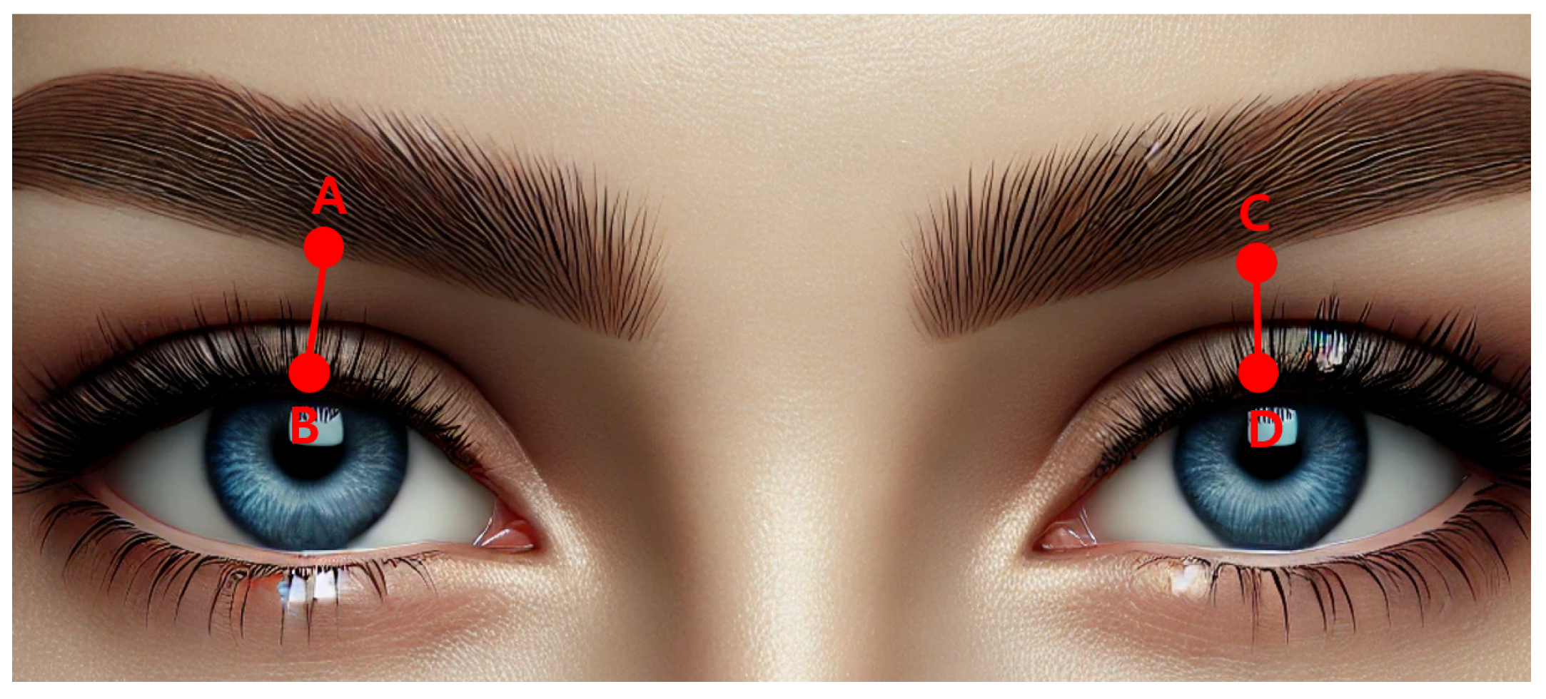 Electronics 14 00662 g007