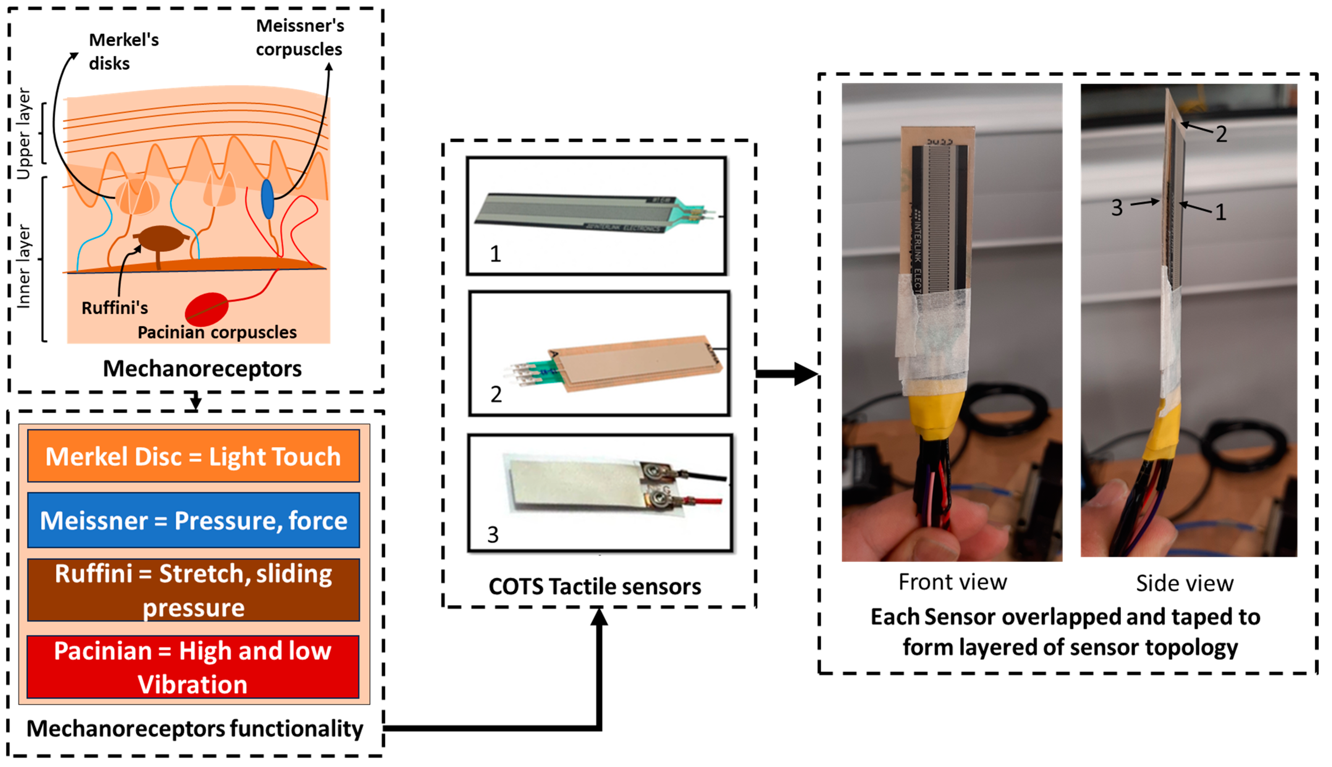 Electronics 14 00674 g001