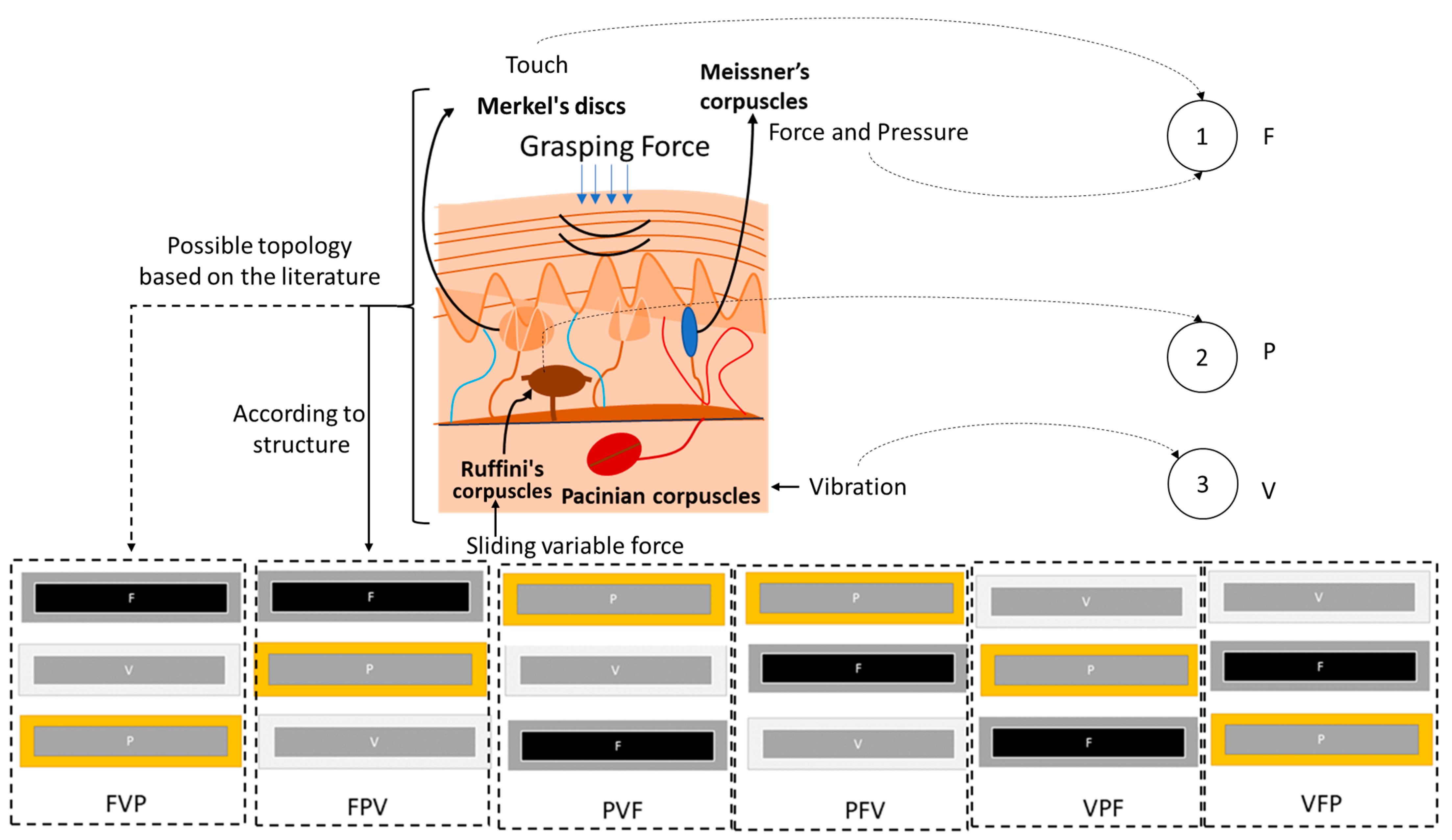Electronics 14 00674 g002