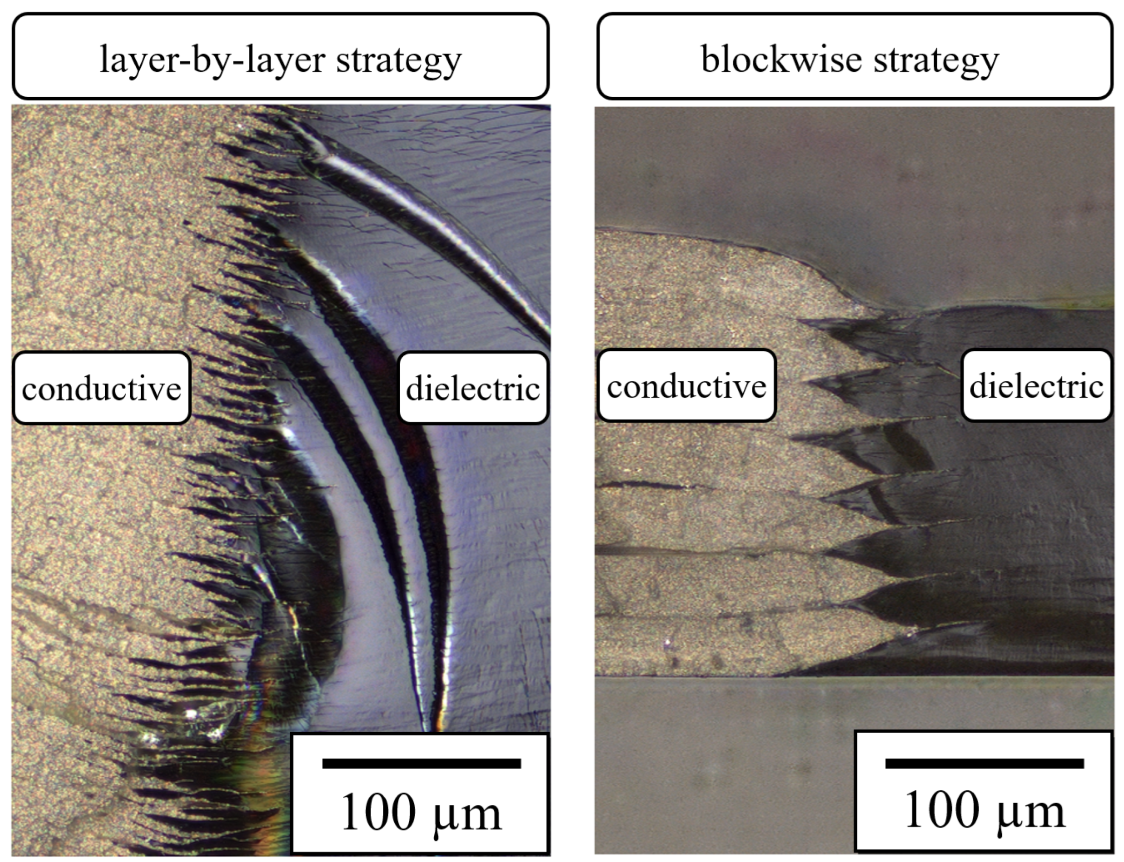 Electronics 14 00695 g004