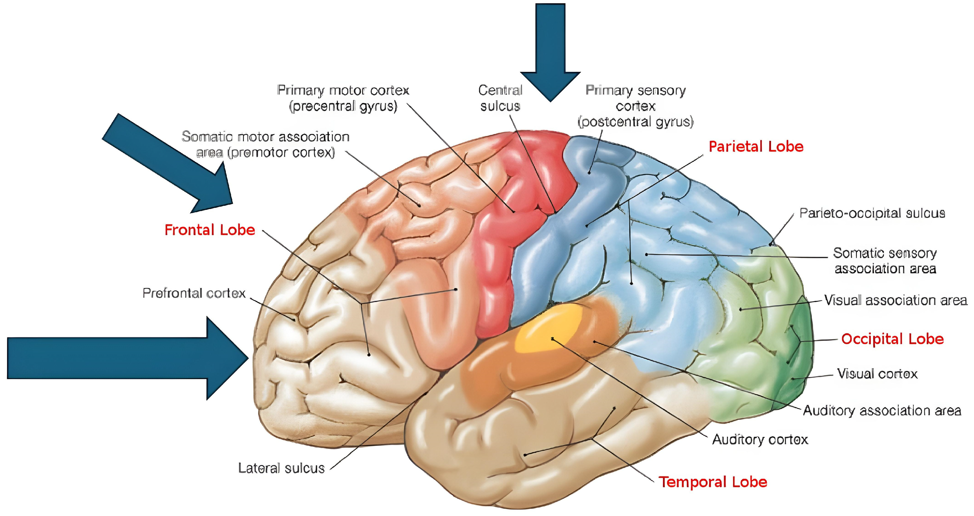 Electronics 14 00707 g001
