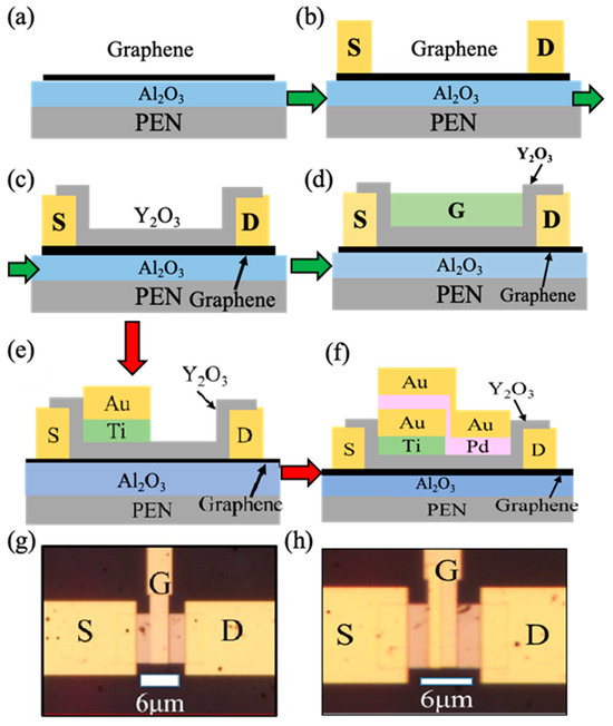 Frequency Multipliers Based on a Dual-Gate Graphene FET with