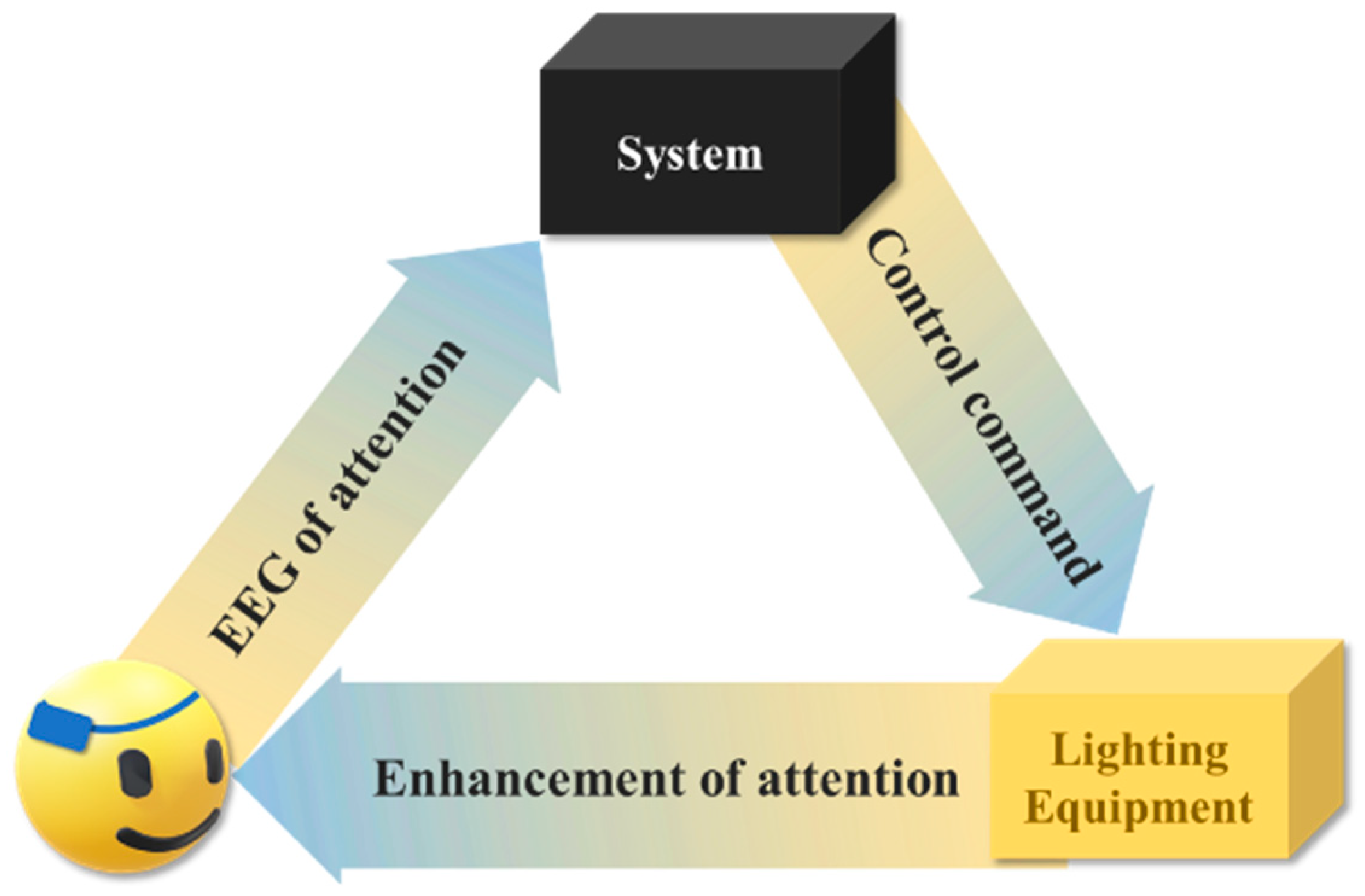 Electronics 14 00865 g001