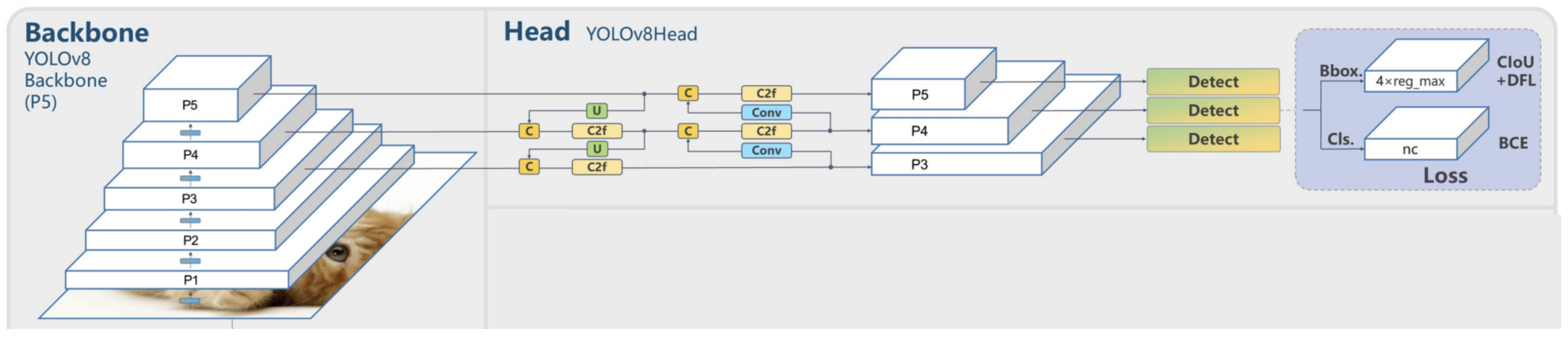 Electronics 14 00876 g008