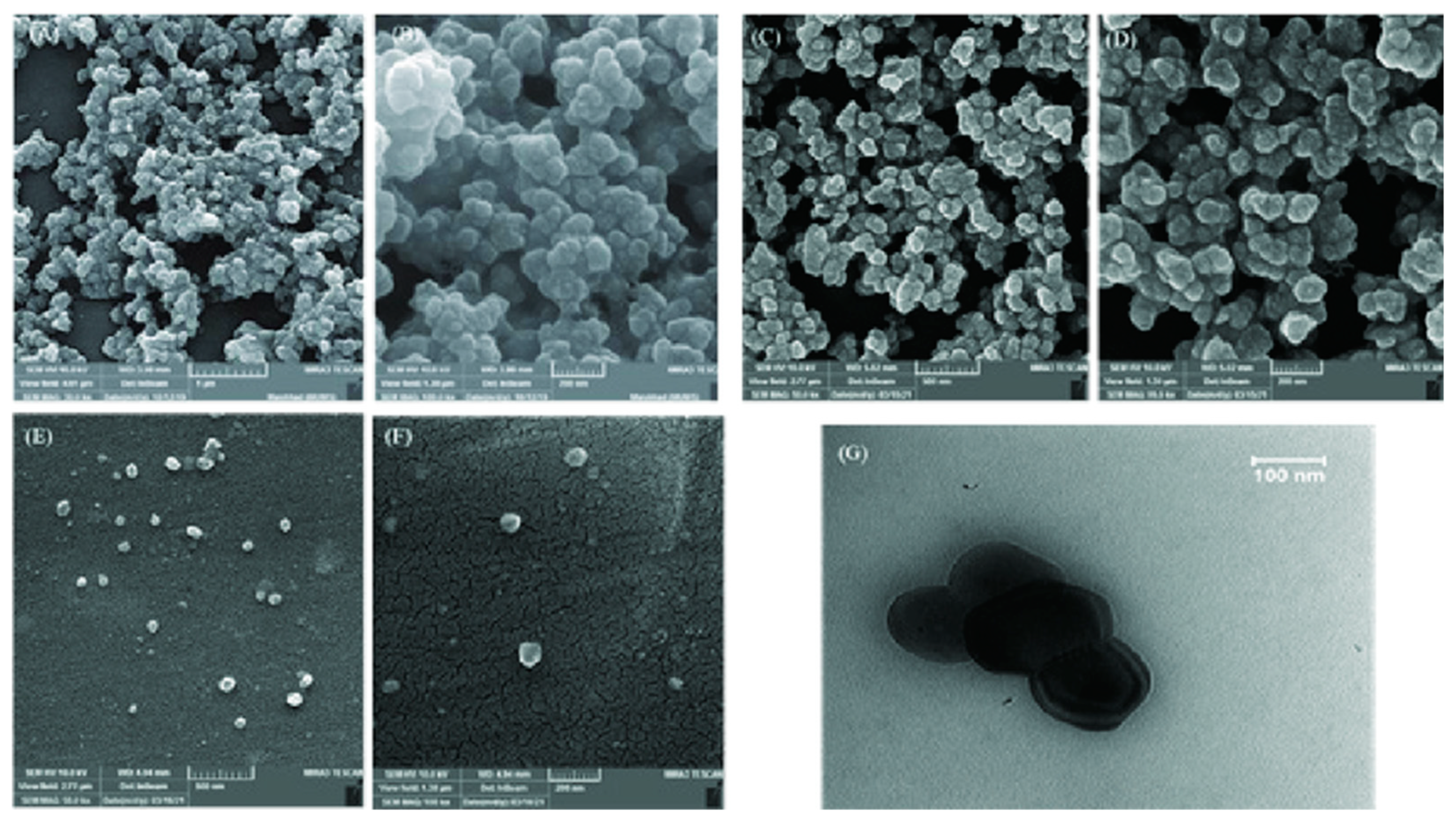 Electronics 14 00911 g001