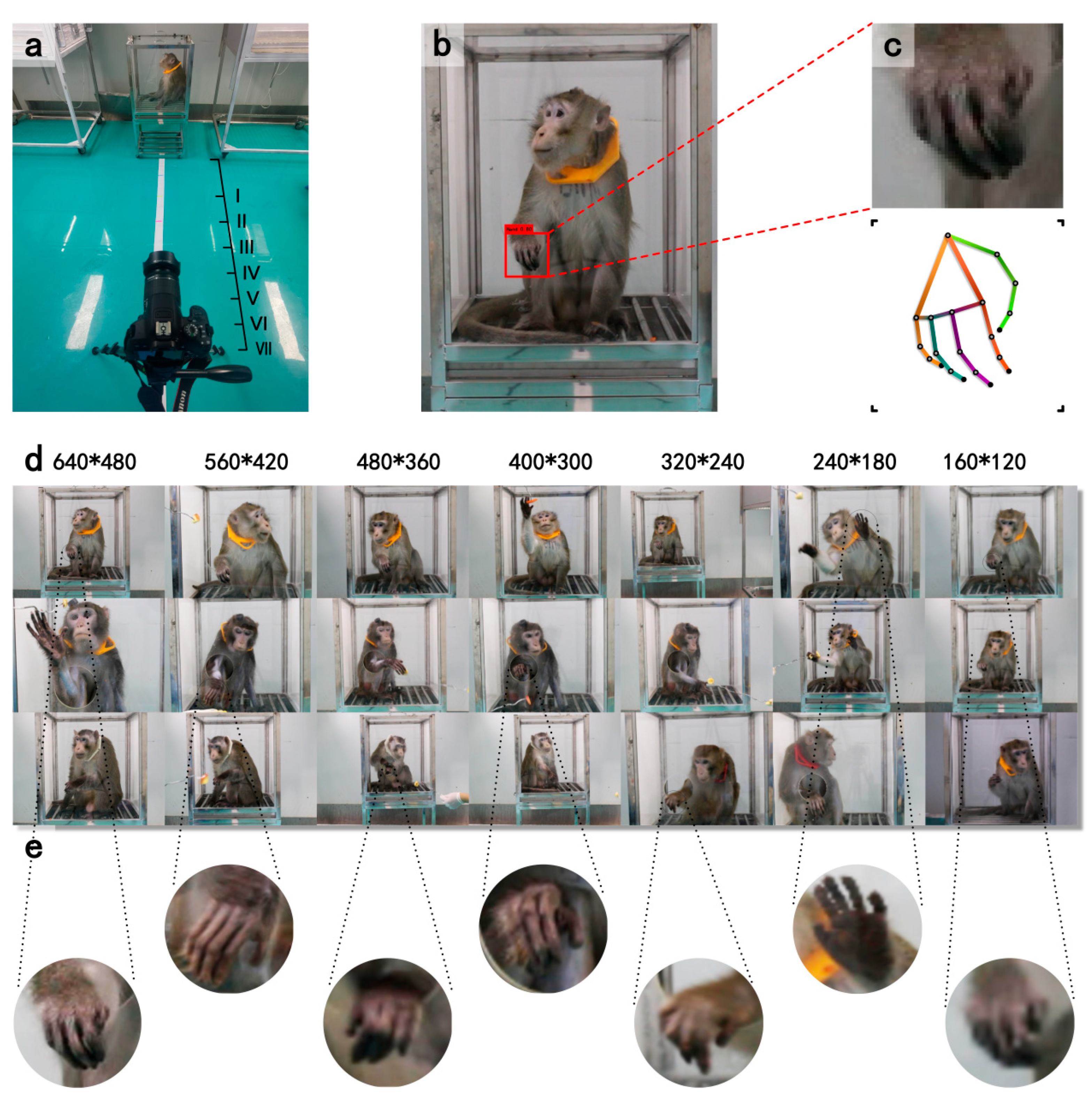 Electronics 14 00920 g001