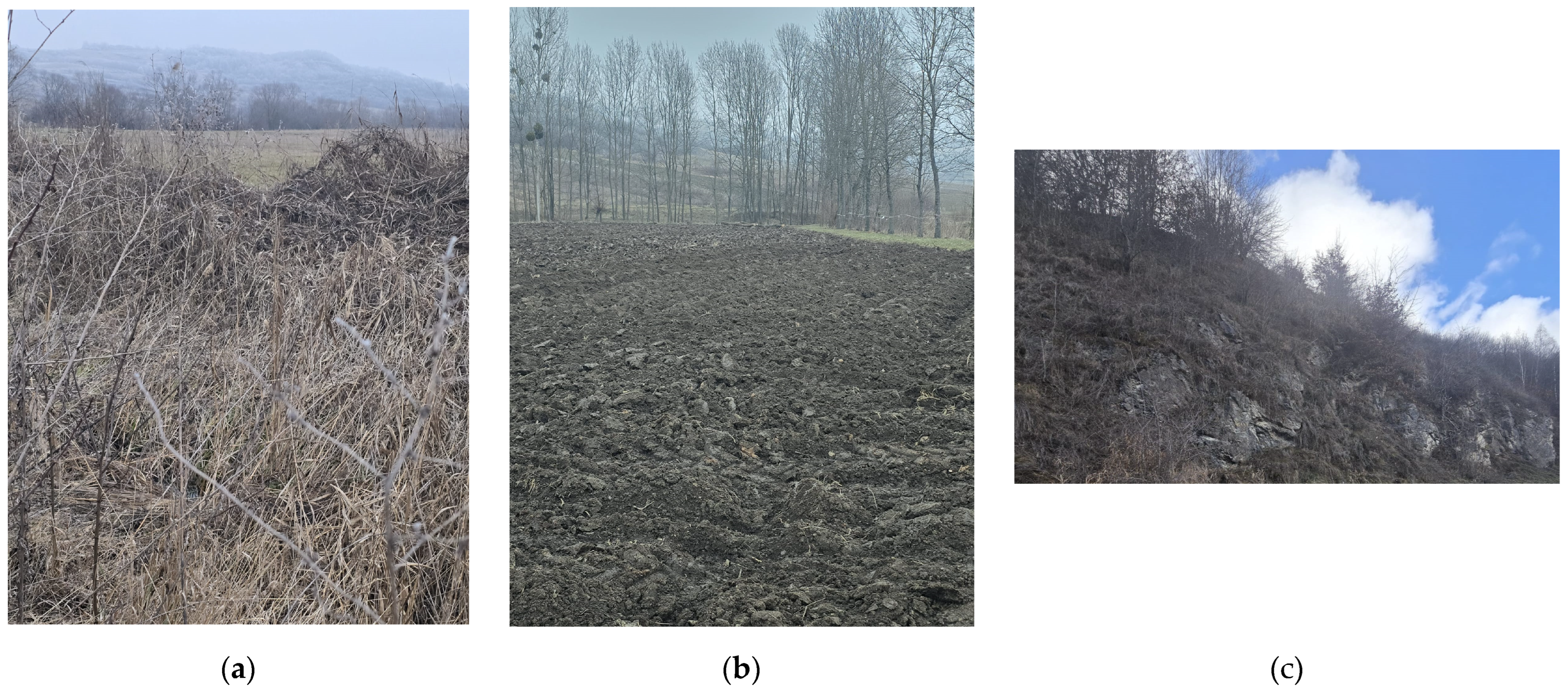 Electronics 14 00921 g005