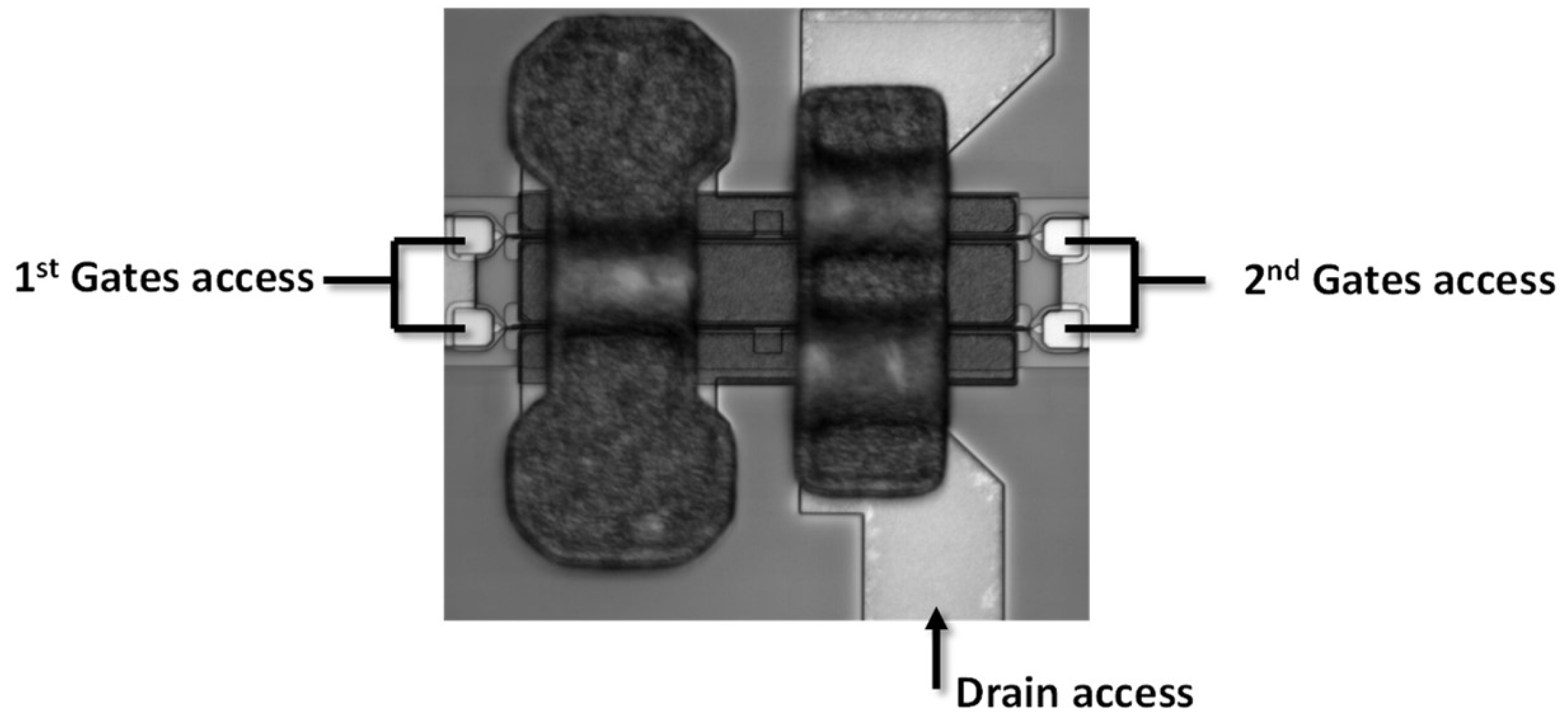 Electronics 14 00935 g001