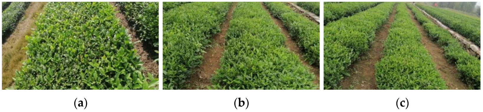 Electronics 14 00988 g002