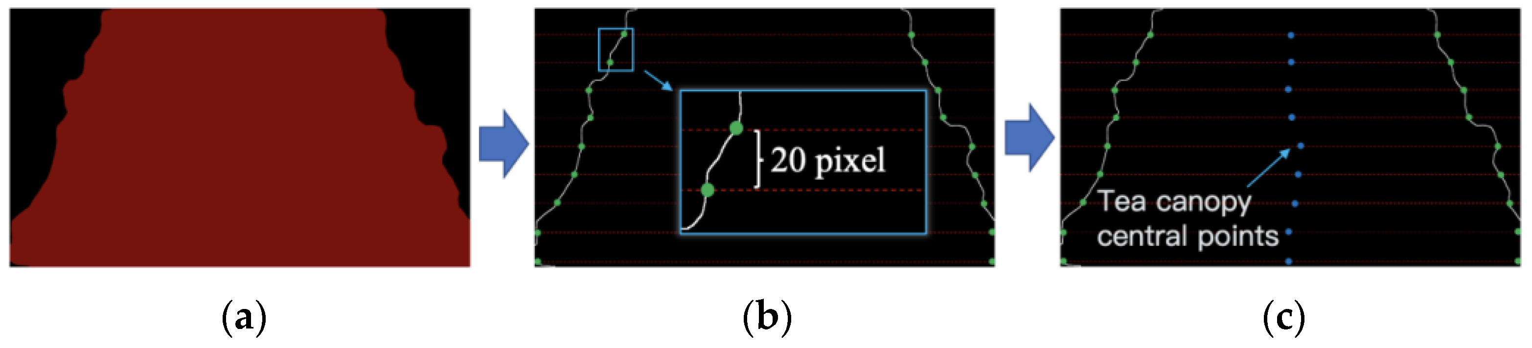Electronics 14 00988 g010