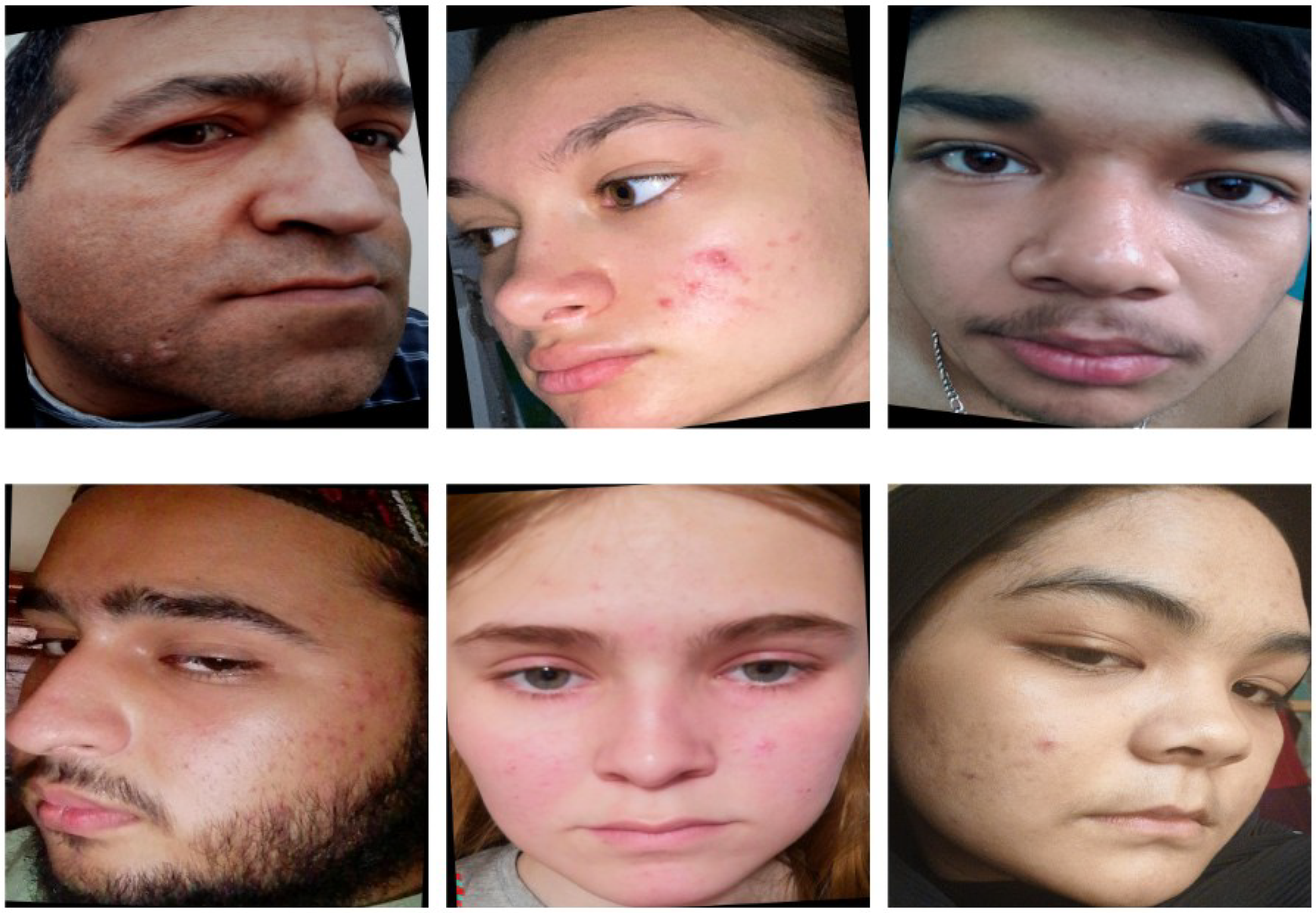 Electronics 14 01319 g001