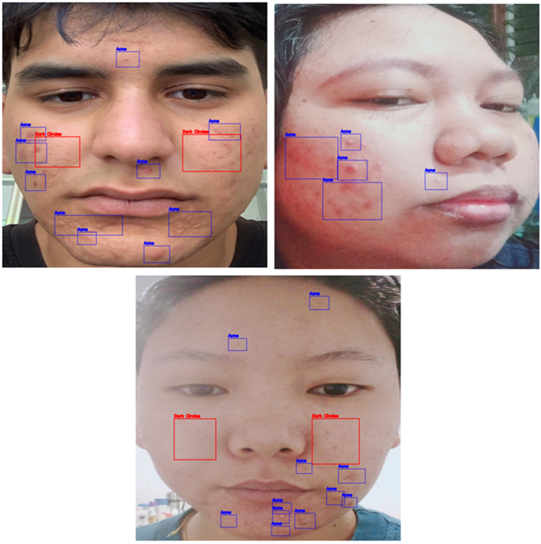 Electronics 14 01319 g004