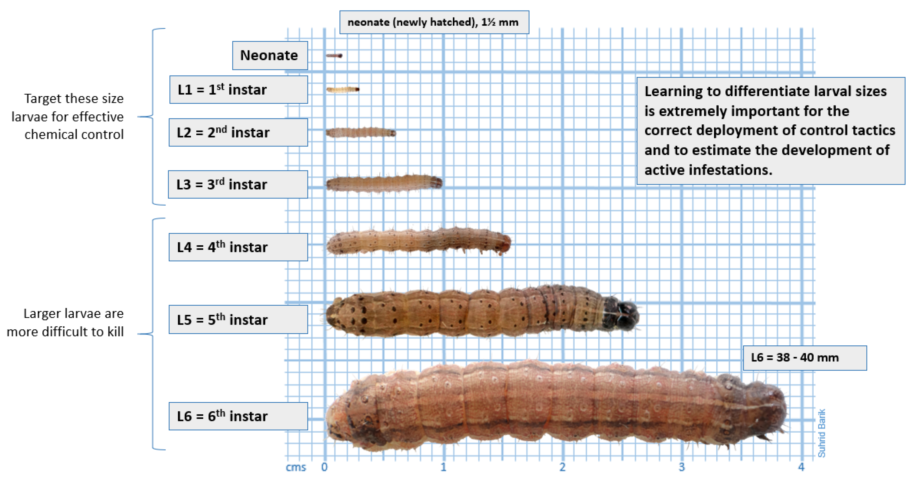 Electronics 14 01449 g001