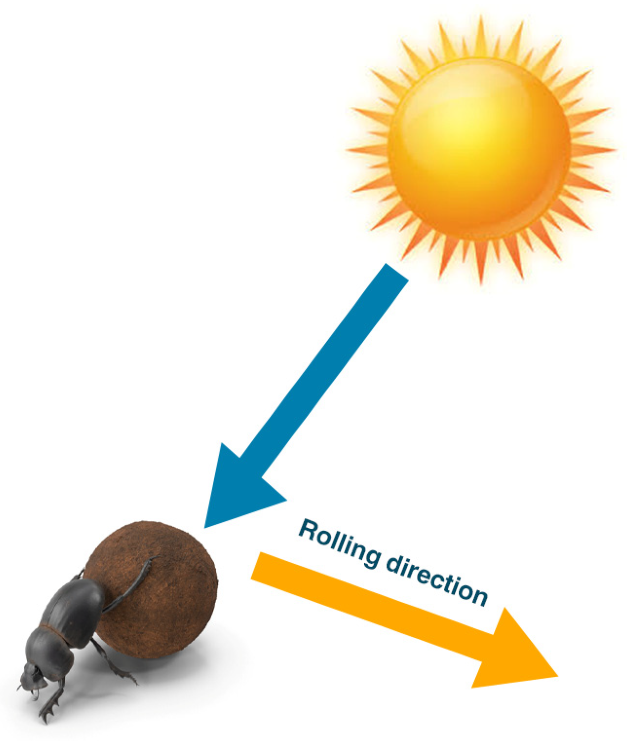 Electronics 14 01495 g003