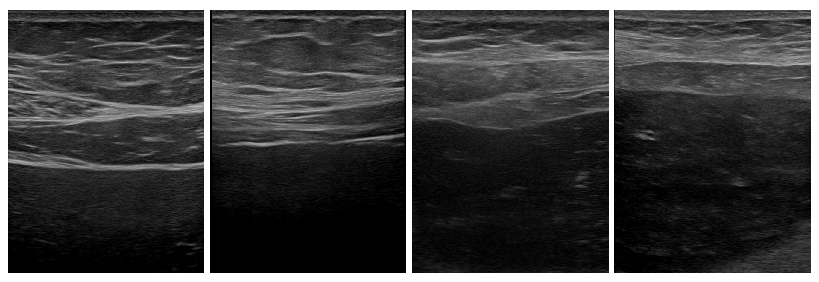 Electronics 14 01534 g001