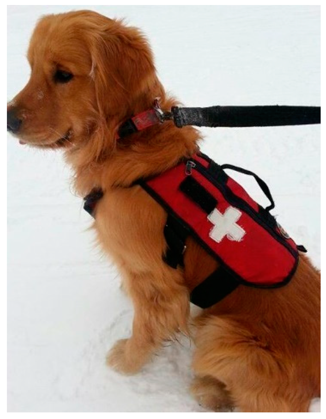 Electronics 14 01682 g001