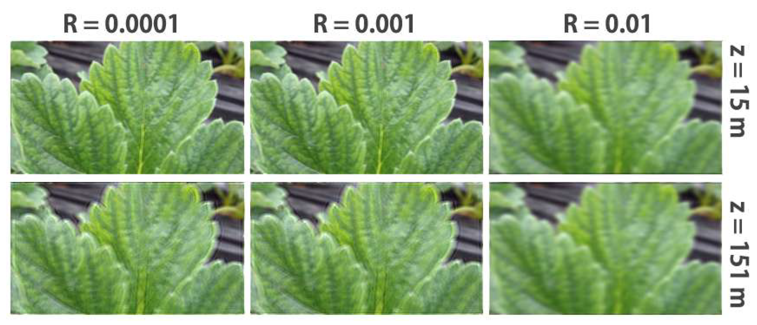 Electronics 14 01735 g003