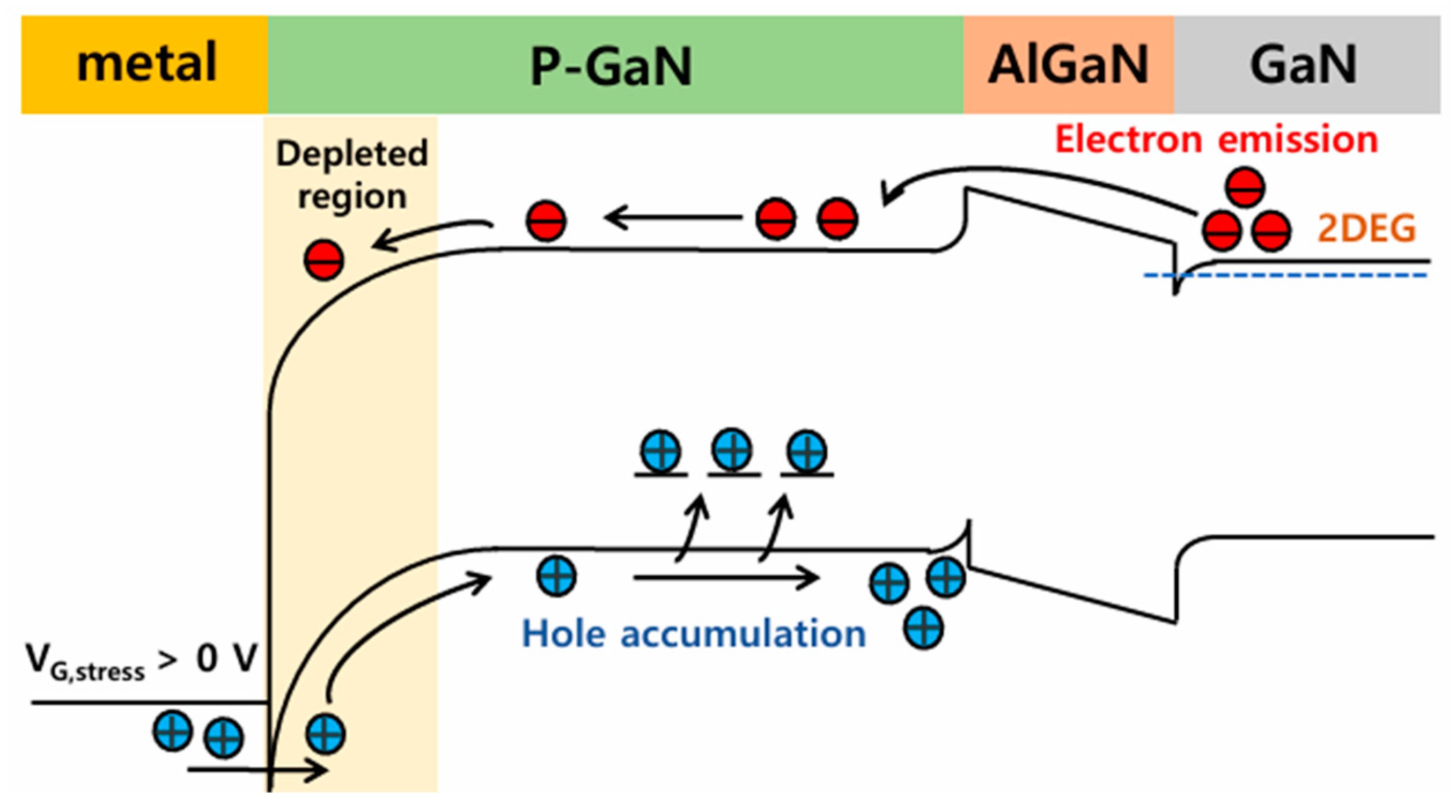 Electronics 14 01764 g005