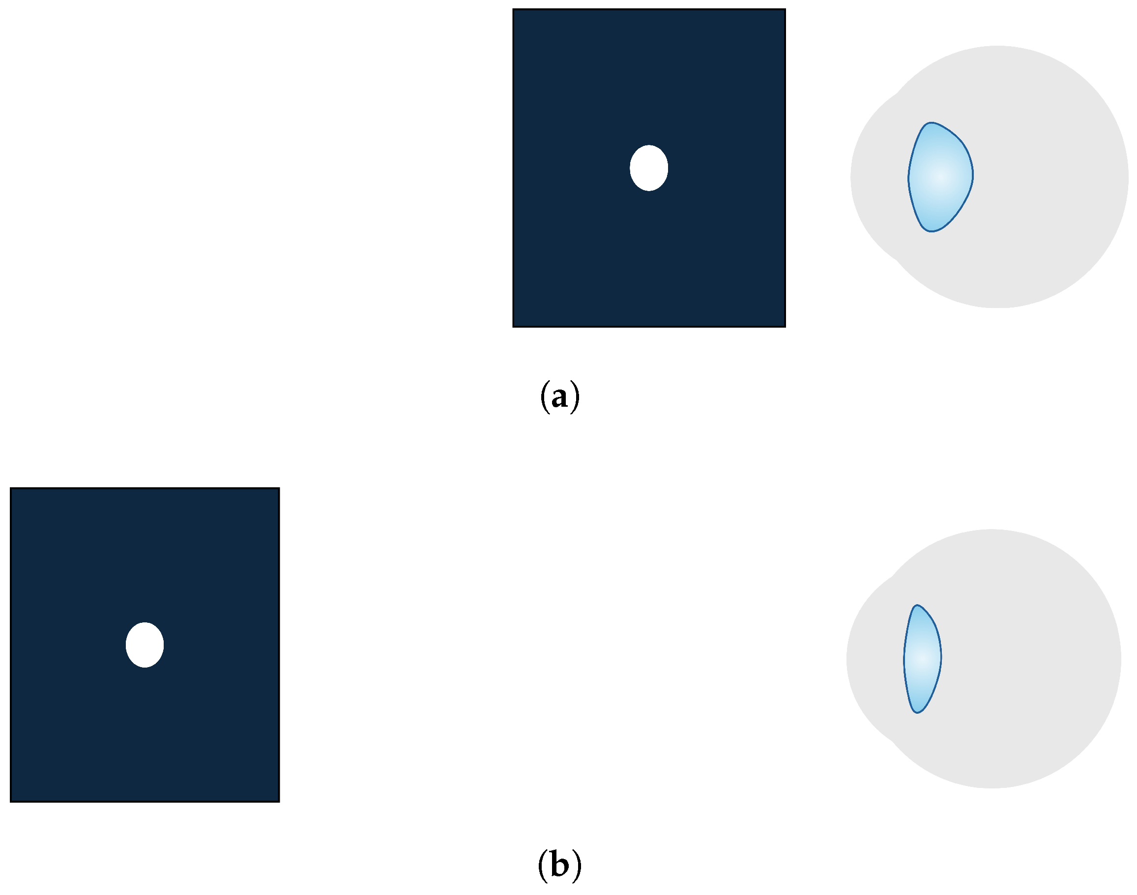 Electronics 14 01799 g001