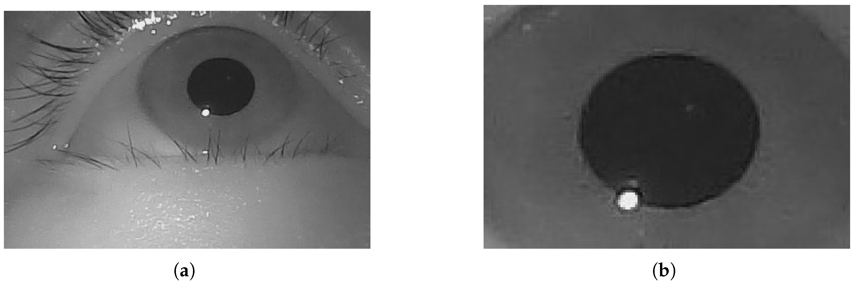 Electronics 14 01799 g003