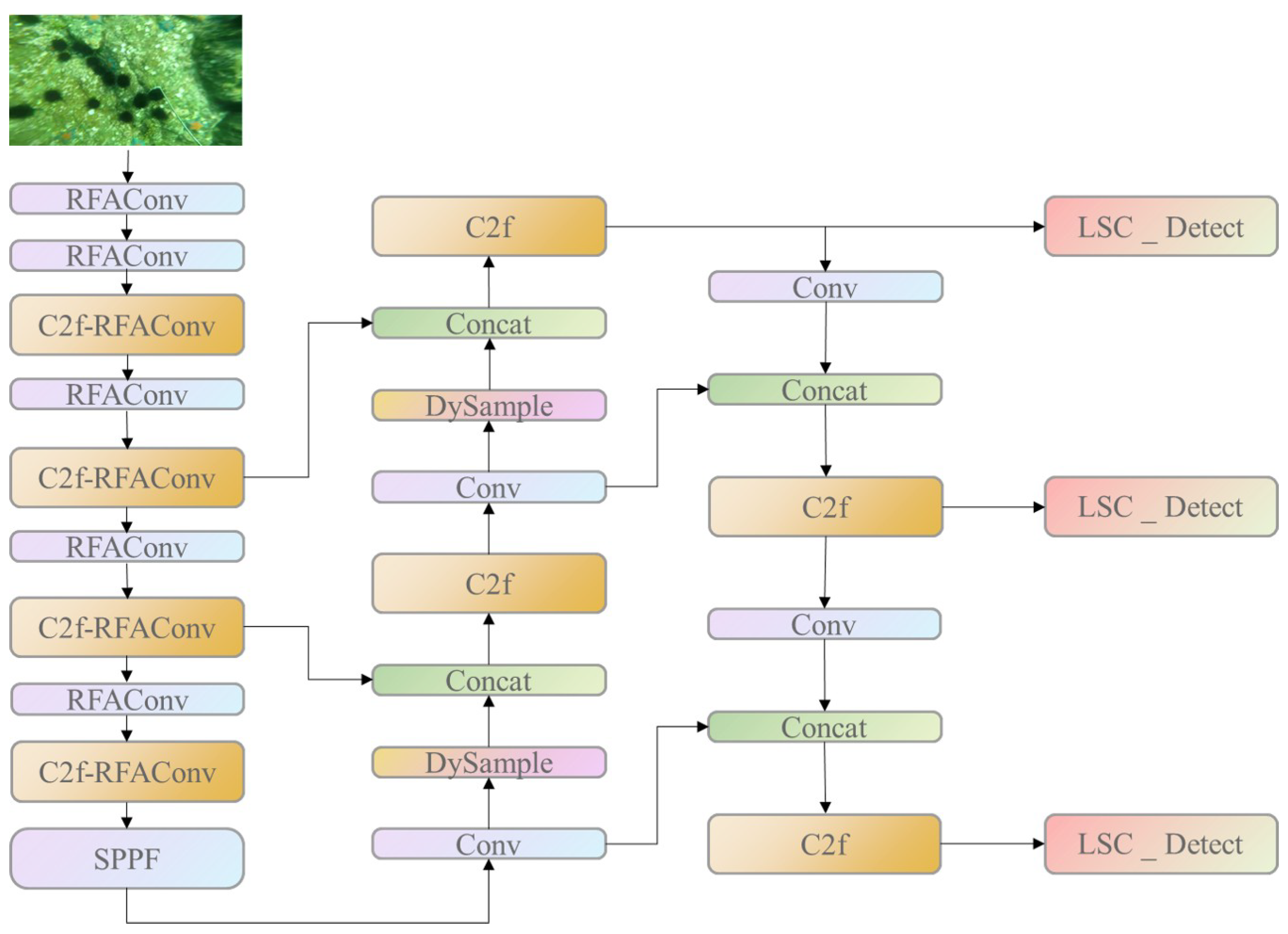 洋書 Detection Algorithms for Wireless Lightweight Underwater Target Detection Algorithm Based on