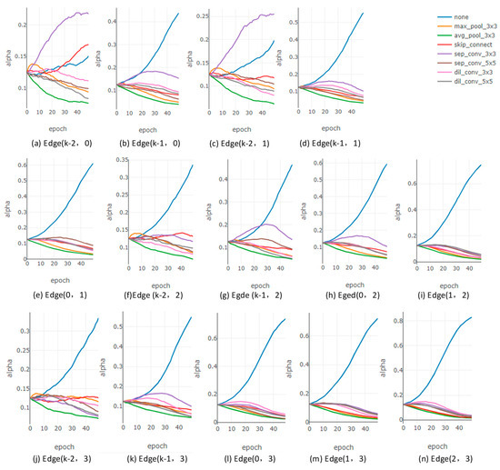 Chromosome Image Classification Based on Improved Differentiable ...