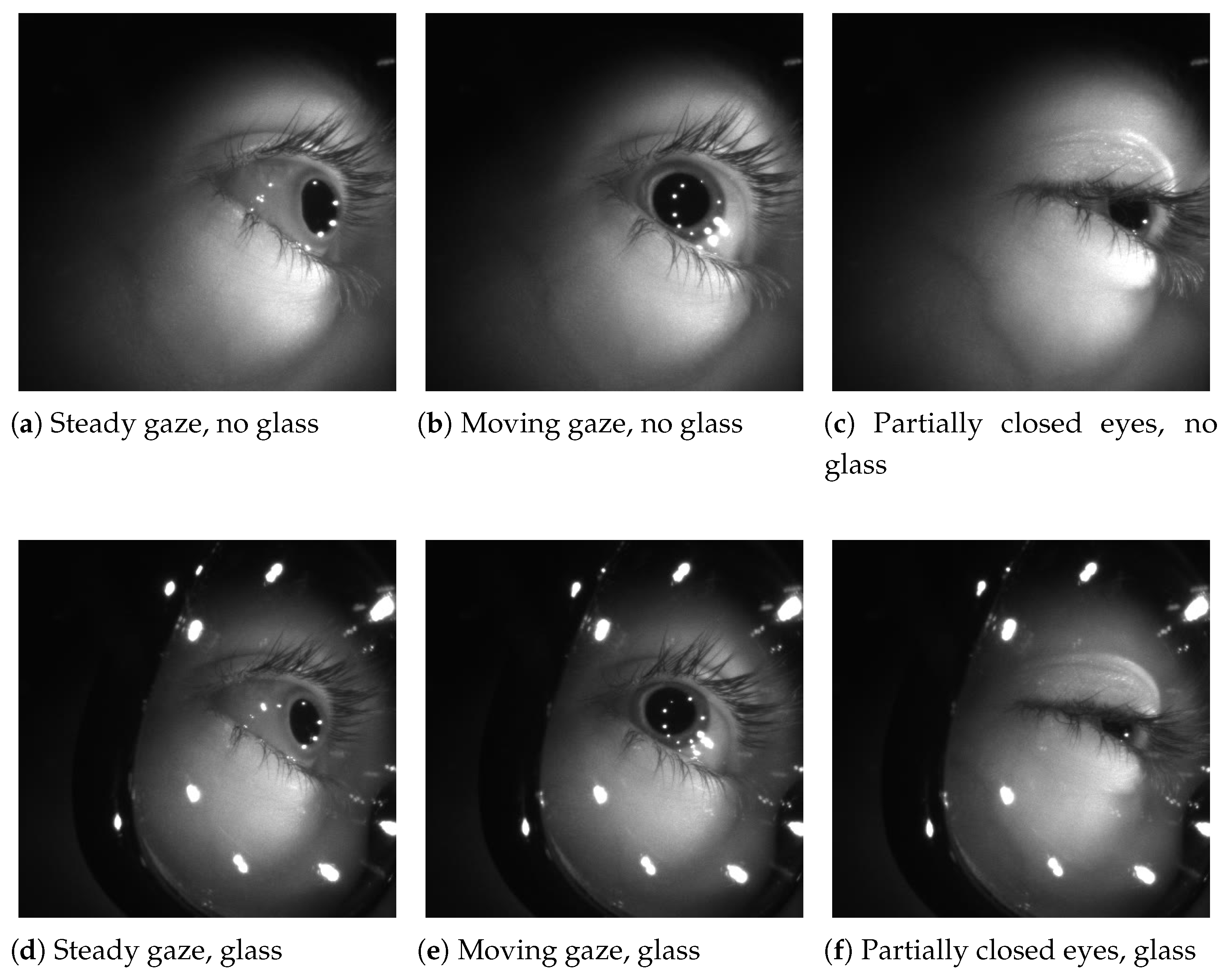 Electronics 14 01835 g003